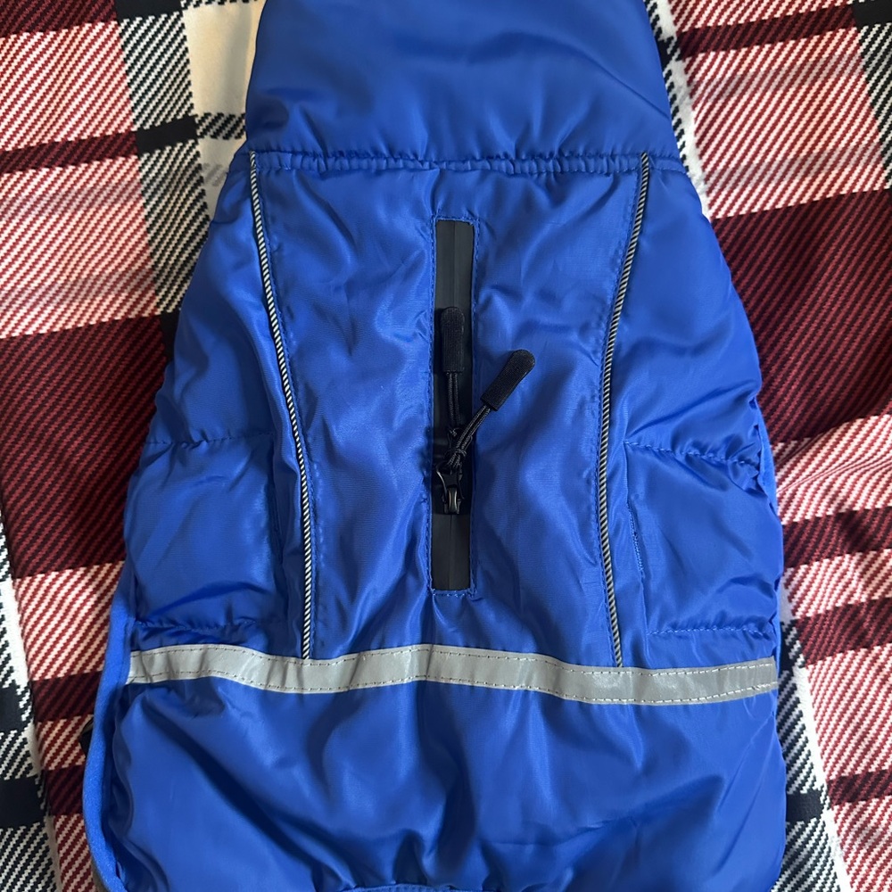#46 Small Dog Blue Jacket